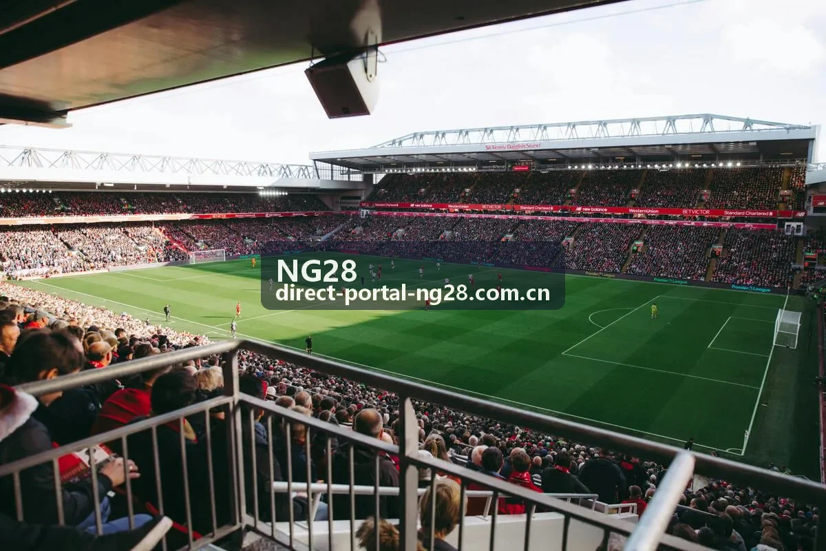 NG28实战场景与战术决策